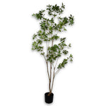 Plant Green-210Cm