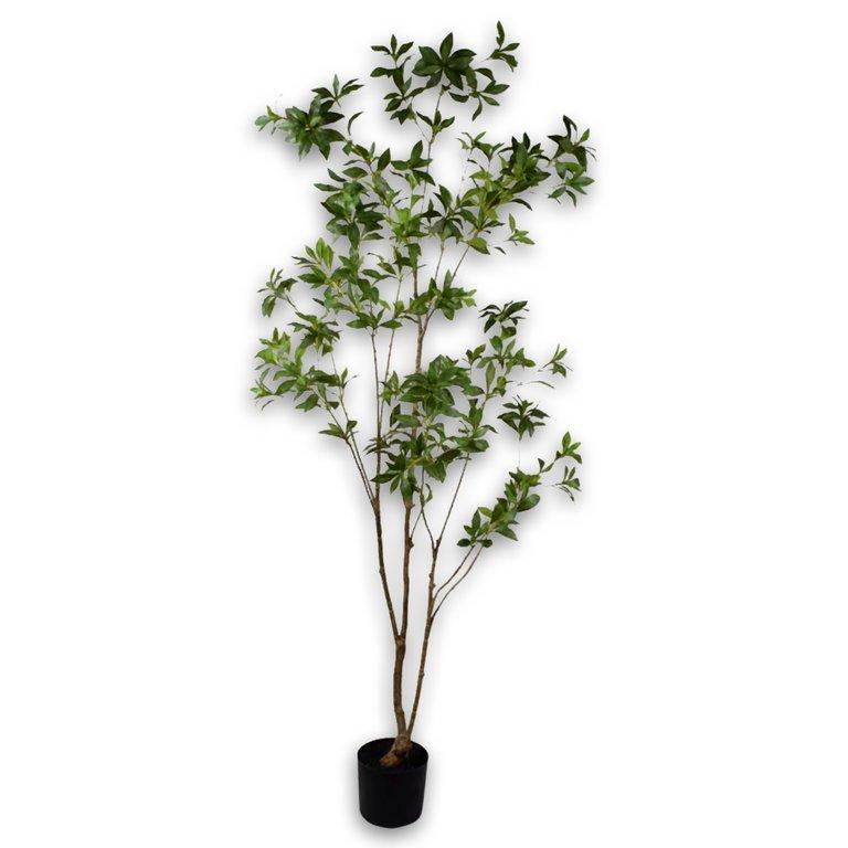 Plant Green-210Cm