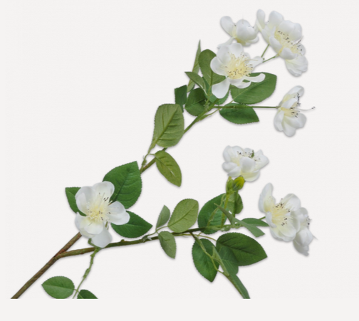 Blossom Spray Cream - 66