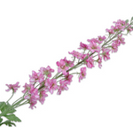 Delphinium Spray Pink