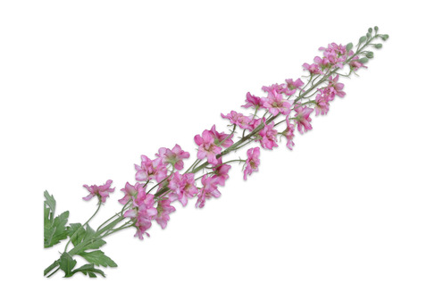 Delphinium Spray Pink