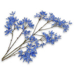 Campanula Spray Blue Lt - 113