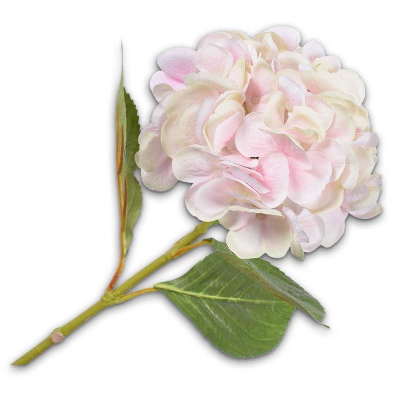 Hydrangea Stem Cr/Pink