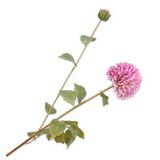 Dahlia Spray Lavend-87Cm