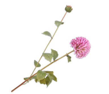 Dahlia Spray Lavend-87Cm