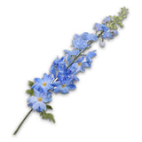 Delphinium Stem Blue