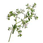 Blossom Spray Green