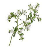 Blossom Spray Green