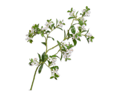 Blossom Spray Green