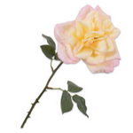 Rose Stem Cr/Pnk 58 Cm