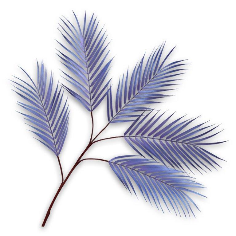 Fern Spray Bl/Prp