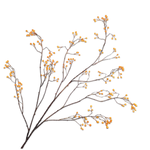Berry Spray Yellow