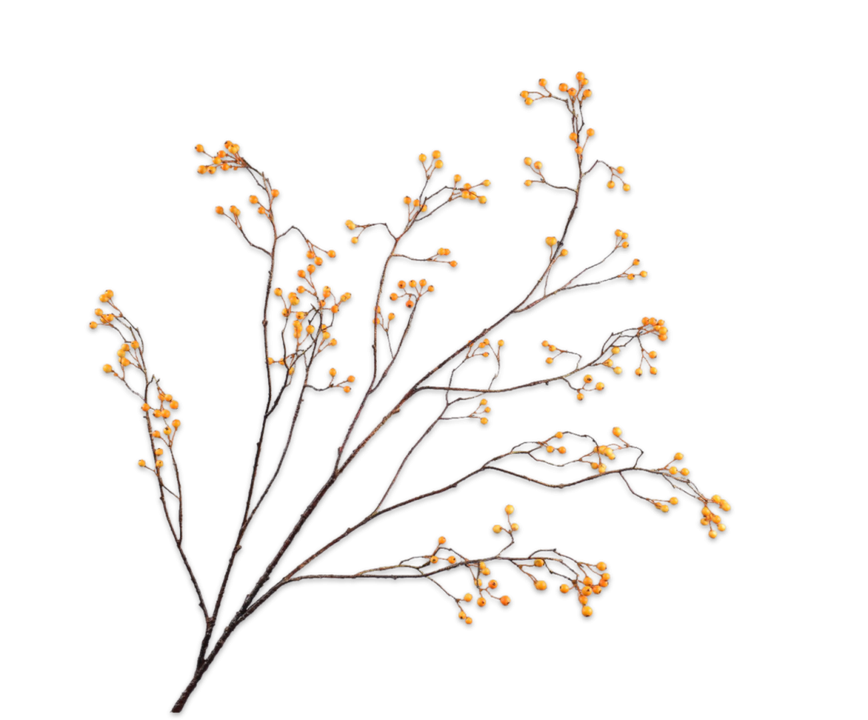 Berry Spray Yellow