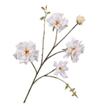 Rose Spray Cream