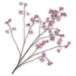 Thalictrum Spray Pink