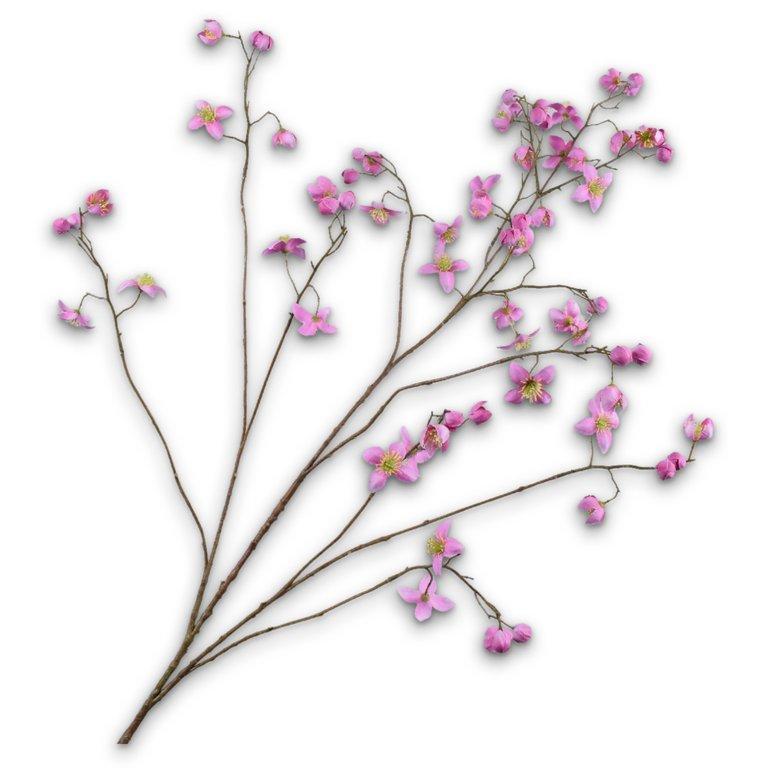 Thalictrum Spray Pink
