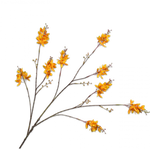 Forsythia Spray Yellow