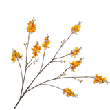 Forsythia Spray Yellow