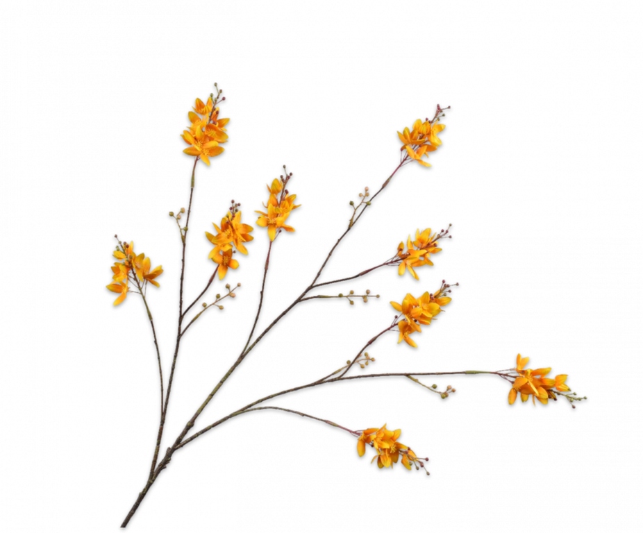 Forsythia Spray Yellow