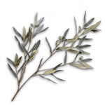 Olive Spray Grn/Gry
