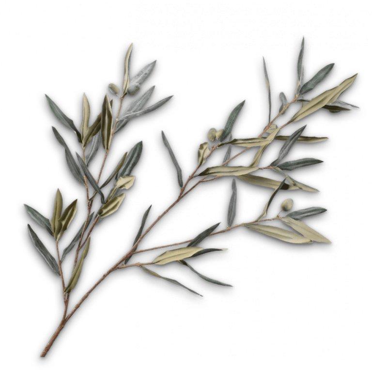 Olive Spray Grn/Gry