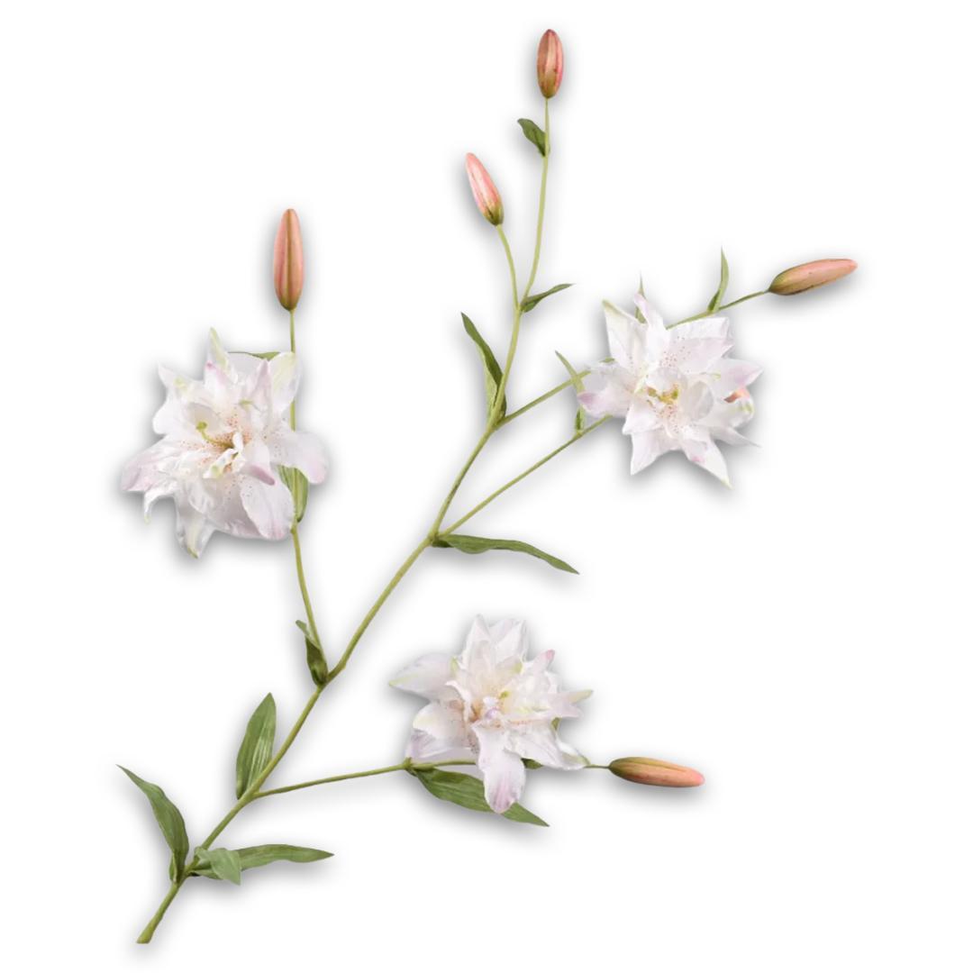 Lily Spray White
