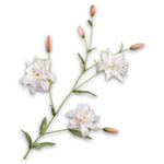 Lily Spray White