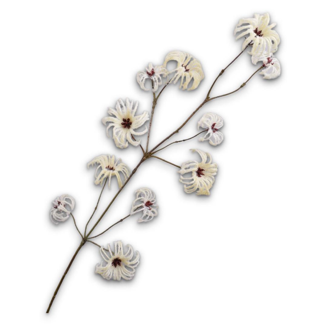 Clematis Spray Cream
