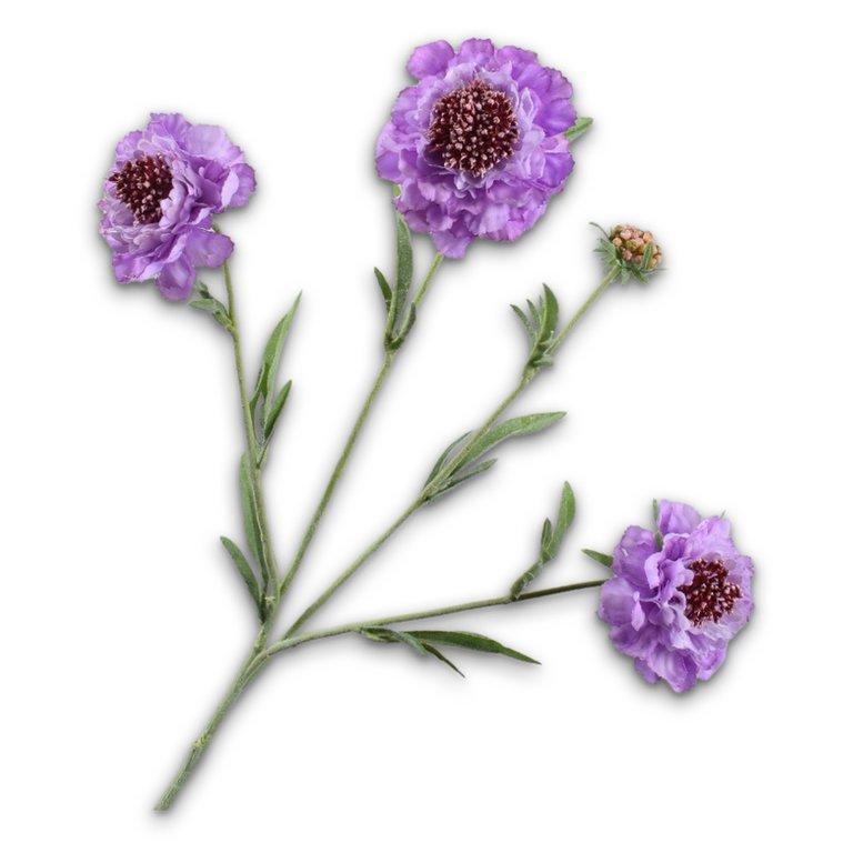 Scabiosa Spray Lavend Rt