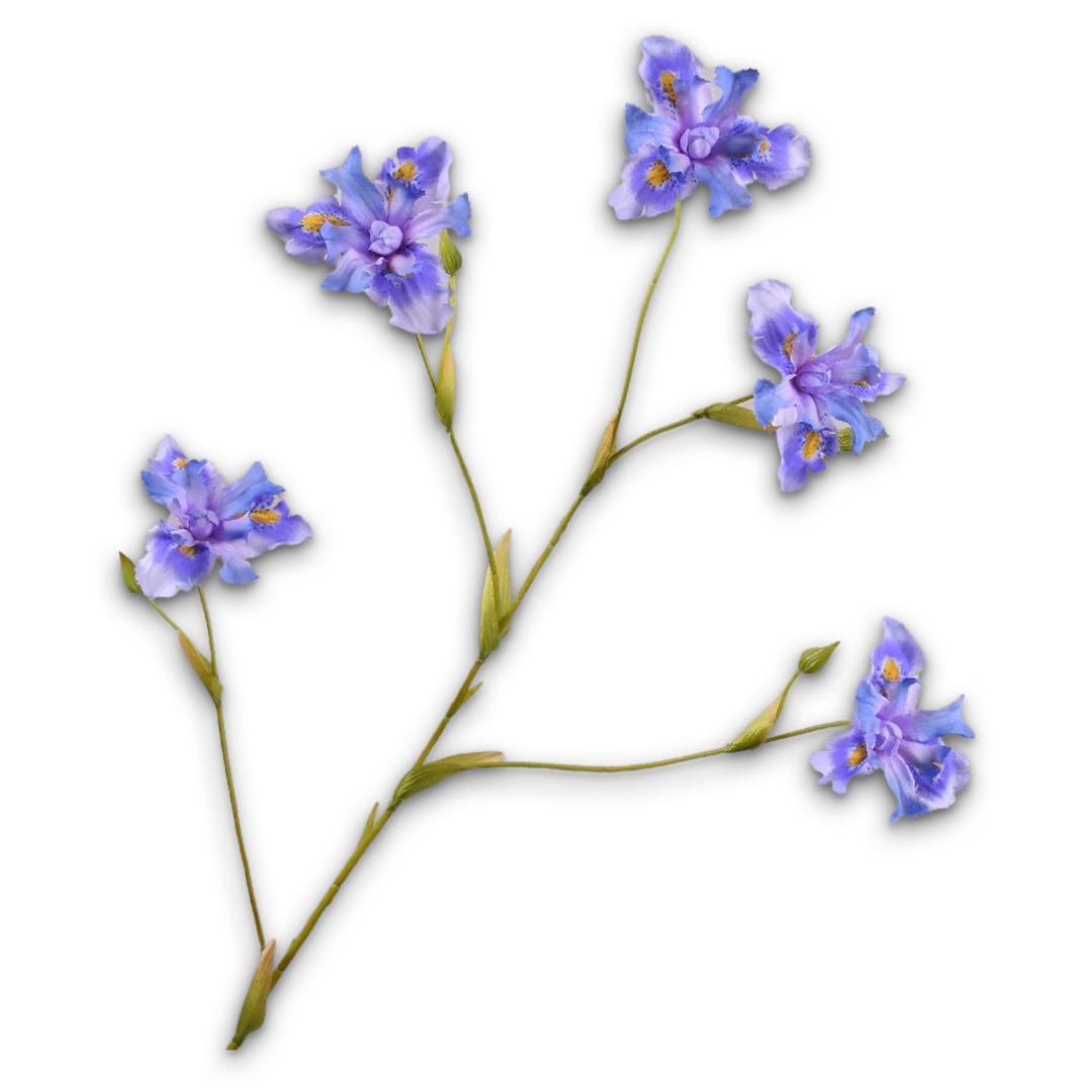 Iris Spray Lavender