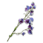 Delphinium Spray Lavend