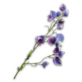 Delphinium Spray Lavend
