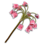 Fritillaria Stem Pnk/Brn