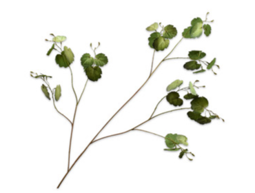 Leaf Spray Green-119Cm