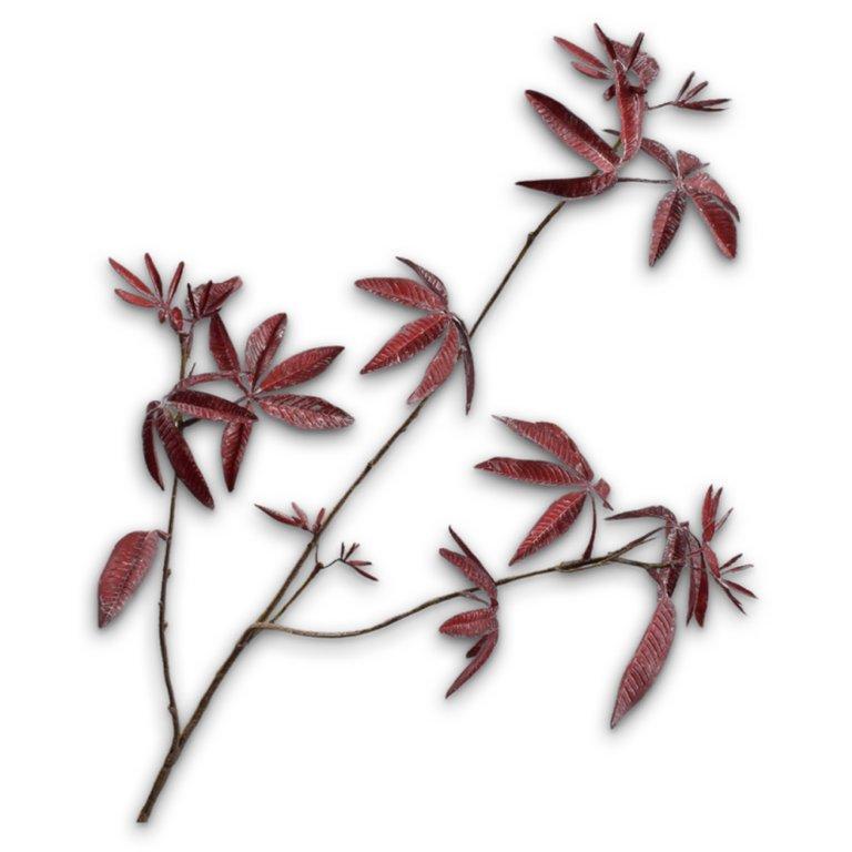 Maple Spray Burgund