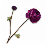 Ranunculus Spray Lavend Rt
