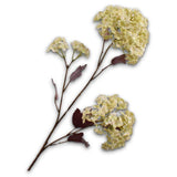 Snowball Spray Green-69Cm