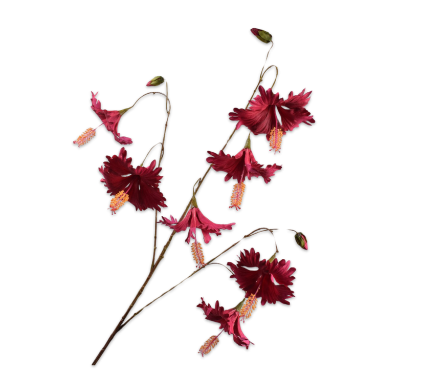 Hibiscus Spray By/Pnk
