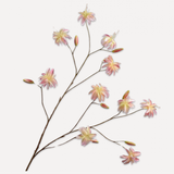 Lily Spray Cream Rt