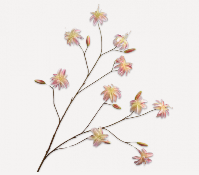 Lily Spray Cream Rt