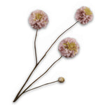Dahlia Spray Brown