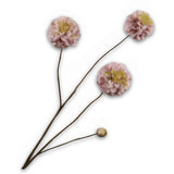 Dahlia Spray Brown