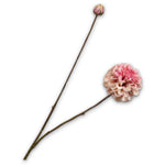 Dahlia Spray Pink