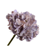 Hydrangea Stem Grn/Pnk