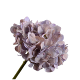 Hydrangea Stem Grn/Pnk