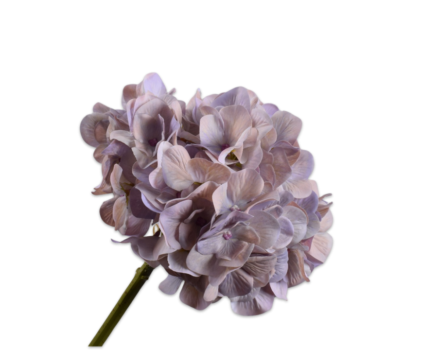 Hydrangea Stem Grn/Pnk