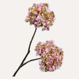 Hydrangea Spray Cr/Pnk