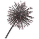 Allium Stem Pink Lt
