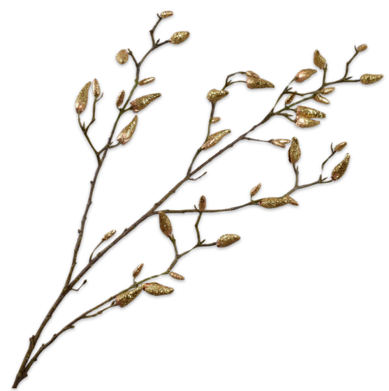 Magnolia Ramifiae Or