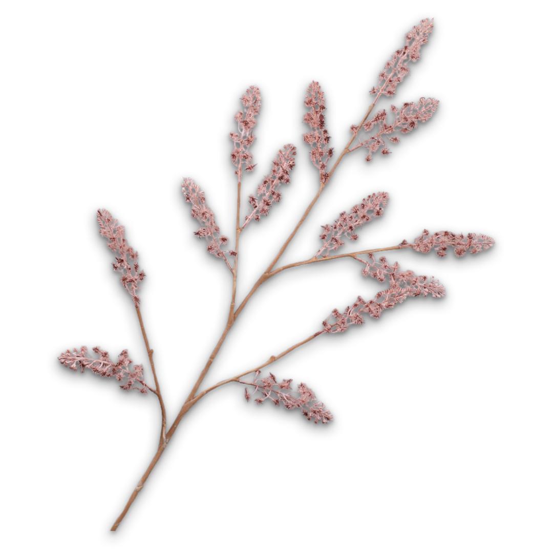 Branded Thistle Pãƒå C/Ros
